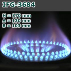 IFG-3684-250x250