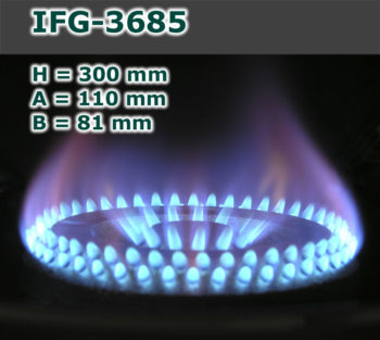 IFG-3685