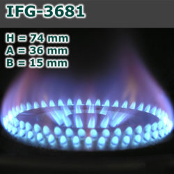 IFG-3681-250x250