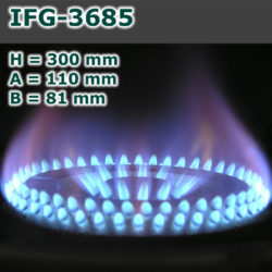 IFG-3685-250x250