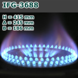 IFG-3688-250x250