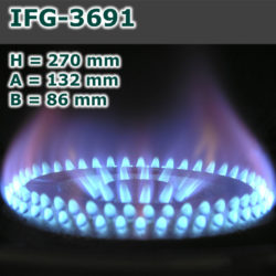 IFG-3691-250x250