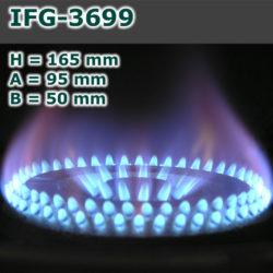 IFG-3699-250x250